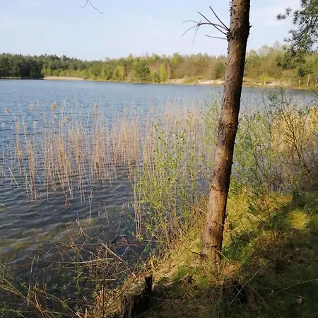 Ferienhaus Kiek Mol In Am Golfpark Gut Dühneburg Haren